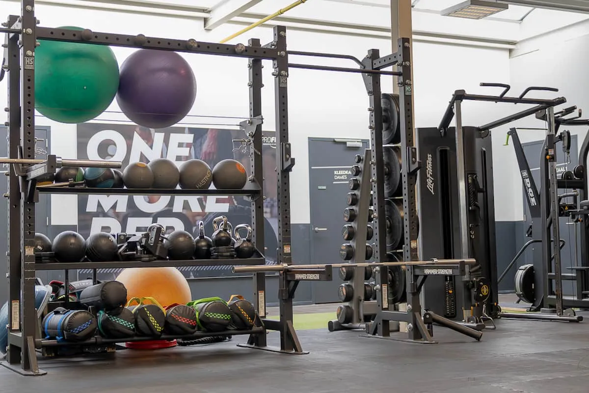 Pro Fit Gym Sportschool Dalfsen Gewichtsballen