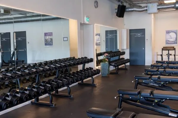 Pro Fit Gym Sportschool Emmen Dumbbells En Bankjes