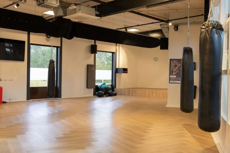 Pro Fit Gym Sportschool Hardenberg Marslanden Bokszakken