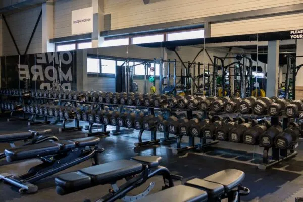 Pro Fit Gym Sportschool Hardenberg Marslanden Dumbbells En Bankjes
