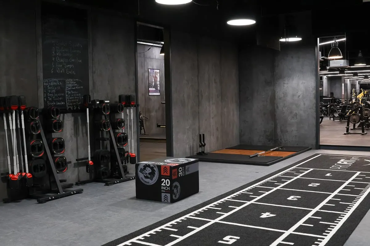 Pro Fit Gym Sportsschool Amsterdam Open Ruimte