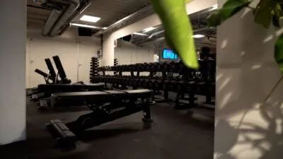 ProFit Gym Sportschool Groningen Benches