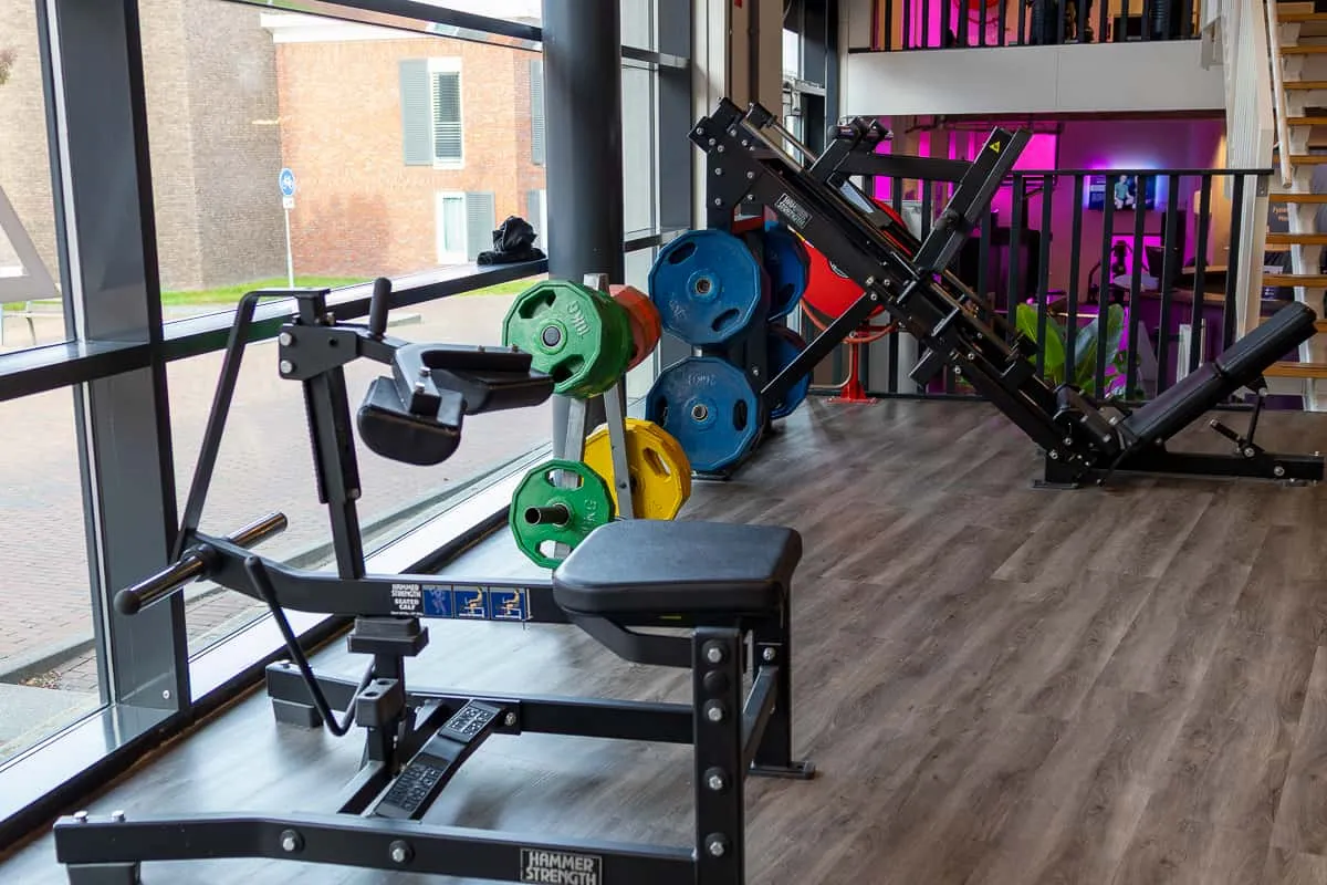 Pro Fit Gym Assen Seated Calf Raises