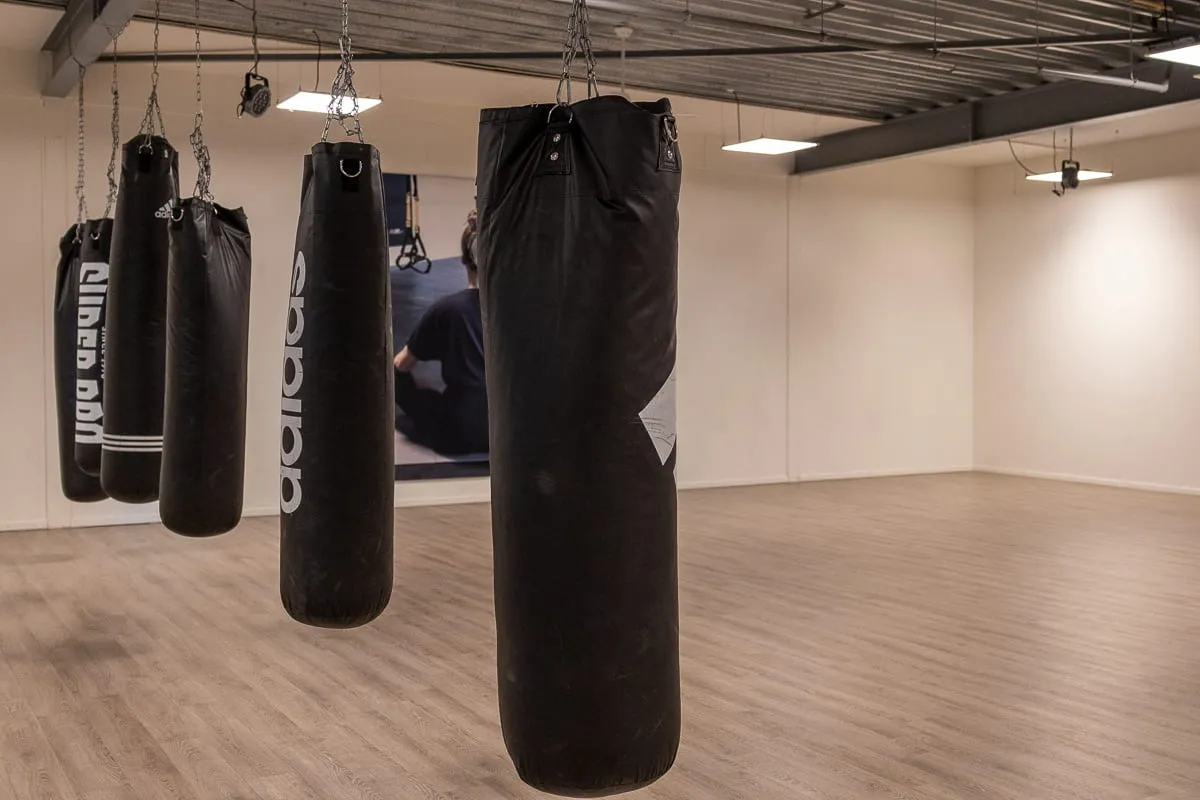 Pro Fit Gym Emmen Punchbags