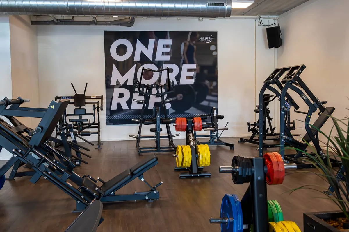 Pro Fit Gym Emmen Weighted Plates