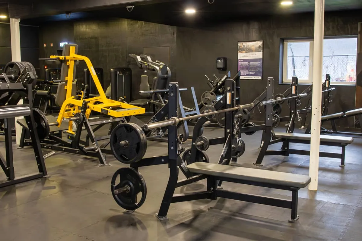 Pro Fit Gym Nieuw Vennep Bench