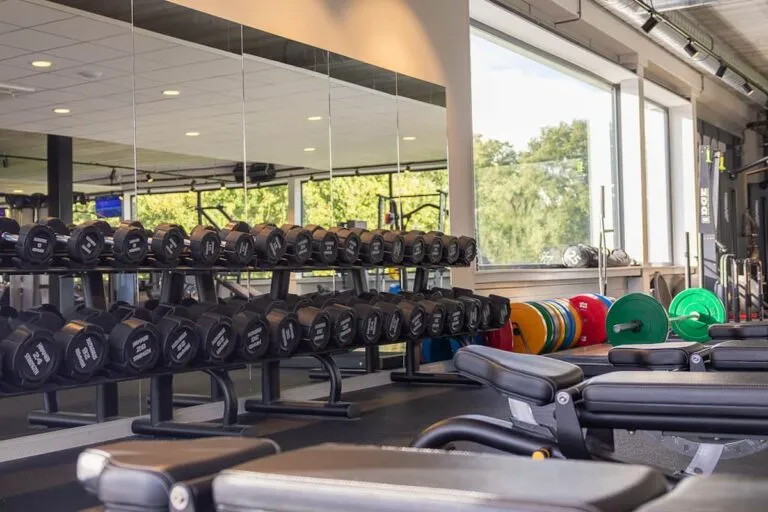 Pro Fit Gym Sportschool Raalte Dumbbells With Benches