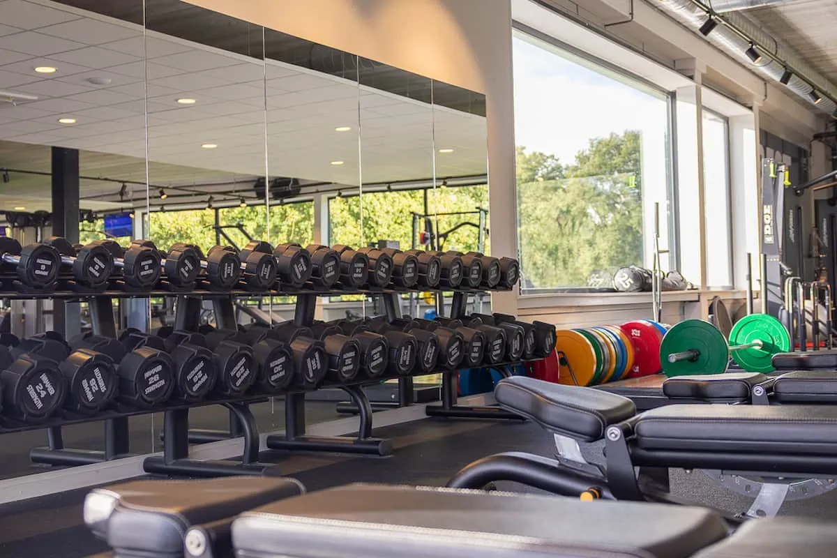 Pro Fit Gym Sportschool Raalte Dumbbells With Benches