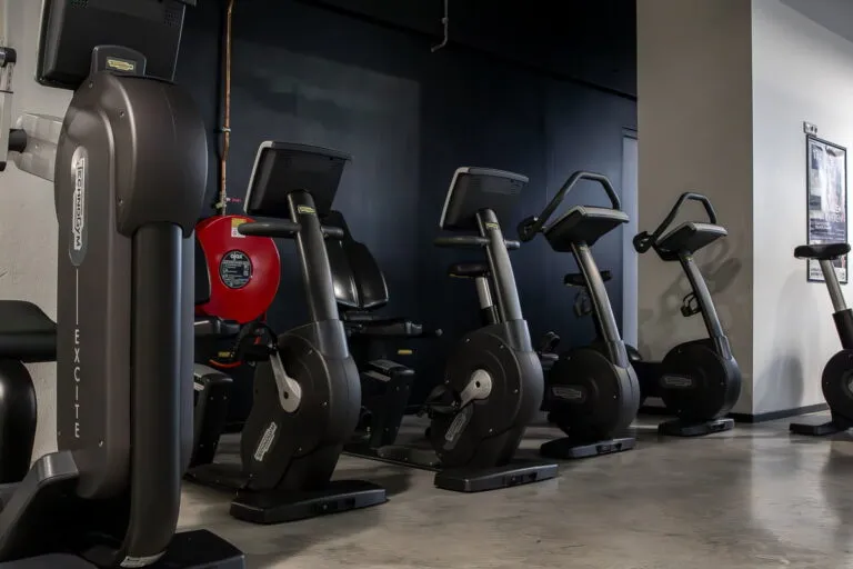 Pro Fit Gym Vlaardingen Bikes Cardio