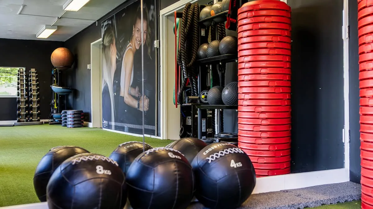 Pro Fit Gym Zwolle Dieze Weighted Balls