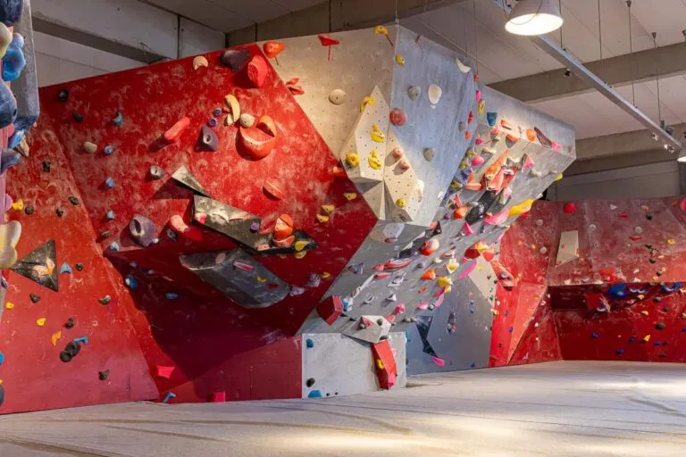 ProFit Gym Sportschool Wageningen Climbing Wall